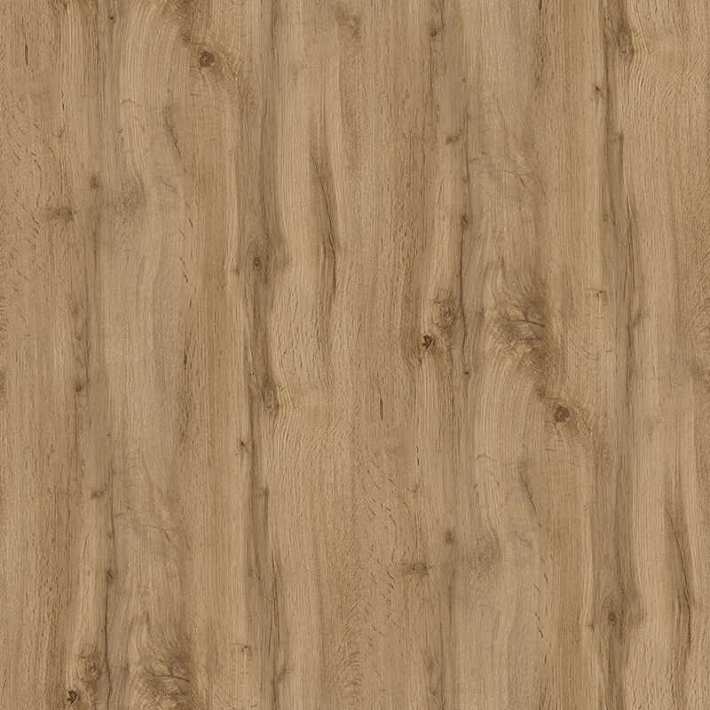 Дуб Аппалачі